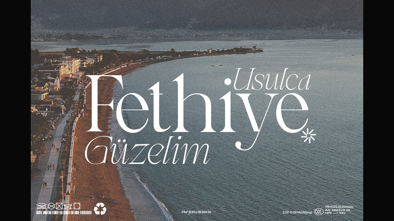 Project showcase image