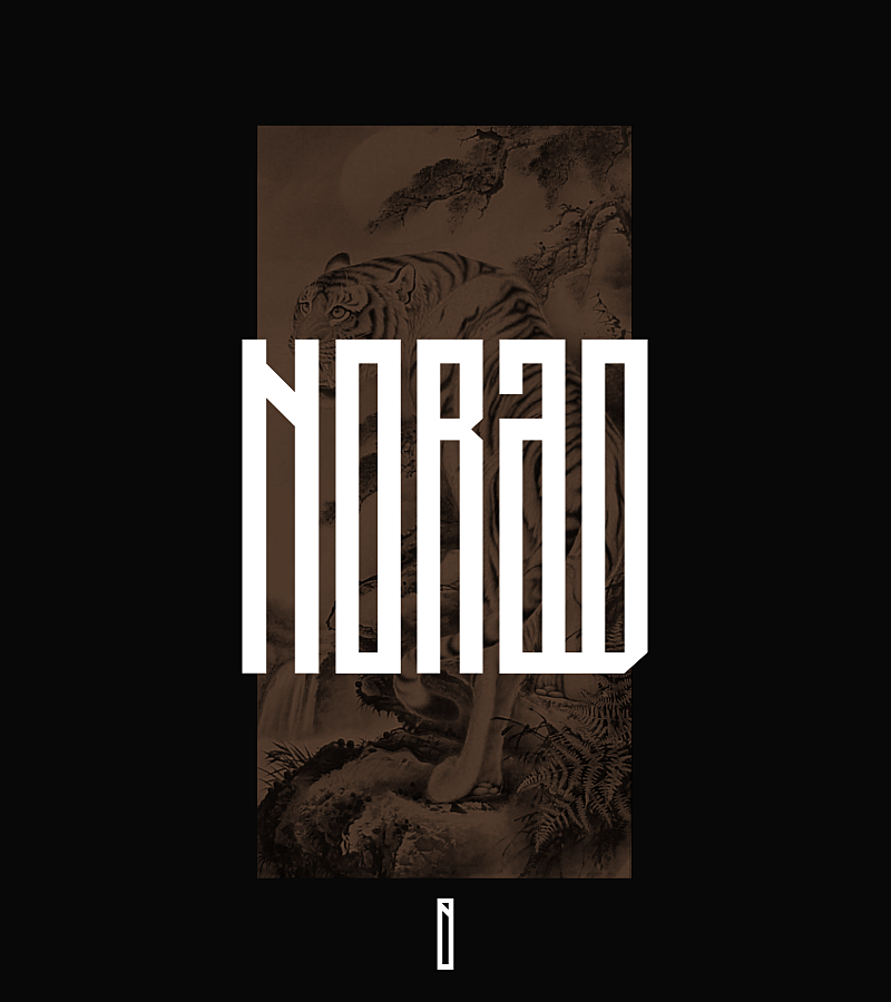 Project showcase image