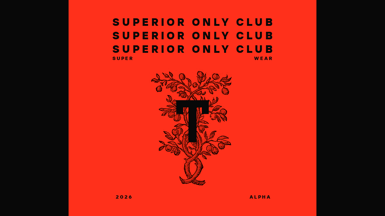 Project showcase image